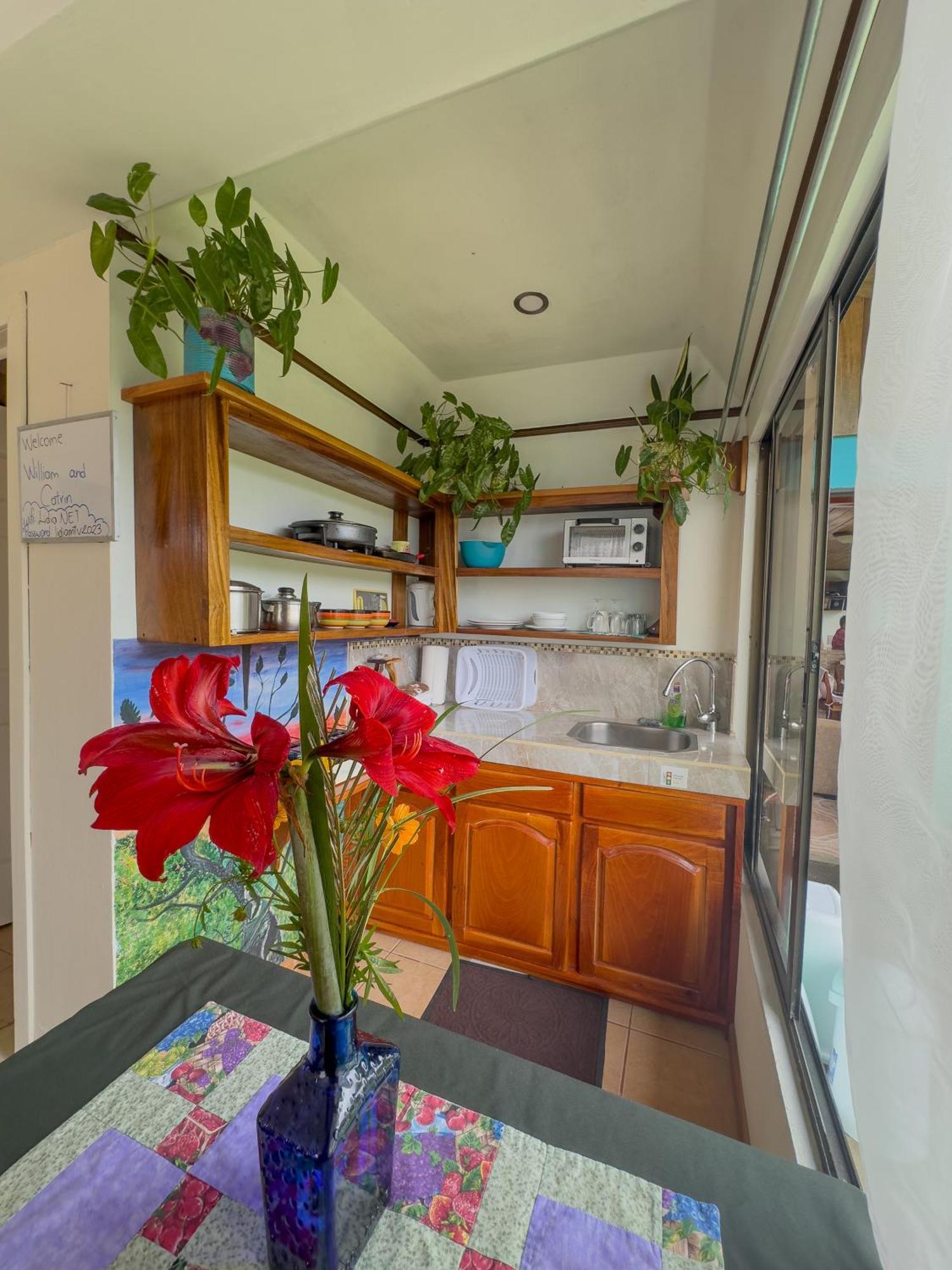 Lidia'S Mountain View Vacation Homes Monteverde Buitenkant foto